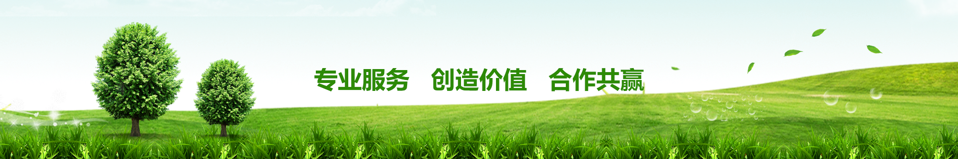 大型（xíng）臭（chòu）氧發生器