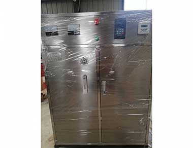小型水冷式臭氧發生器（qì）